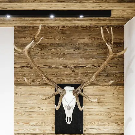 Alpinlounge Raetia Apartment Ischgl