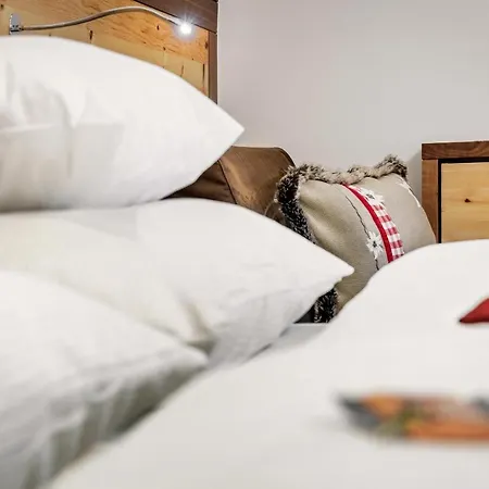 Apartment Alpinlounge Raetia